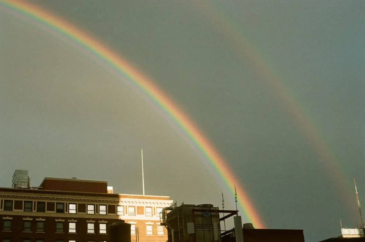 rainbow film